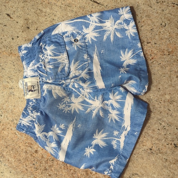 Super Soft Tropical Bathingsuit Shorts Trunks - Picture 4 of 6
